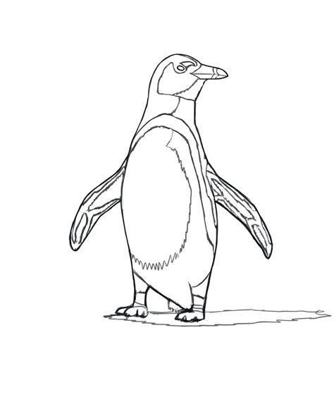 pinguinos para colorear|dibujos de pinguinos para imprimir.